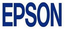 Epson TMU295 anta Fark