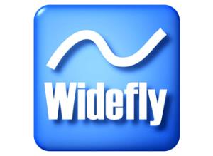 Widefly DT350 Tekli Pil arj nitesi